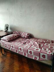 Westwood Park (D22), Terrace #576263241